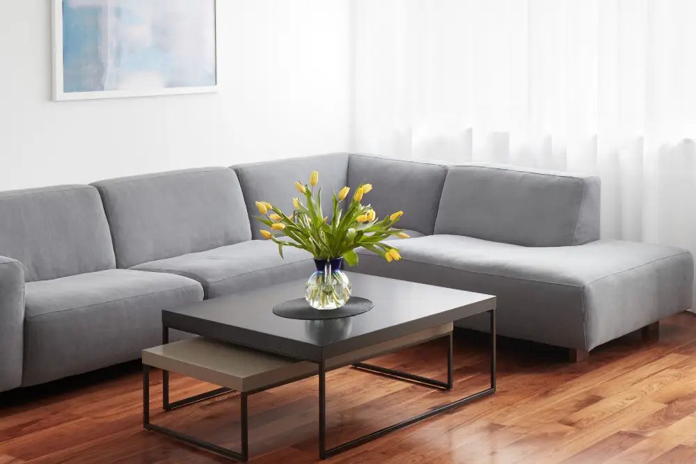 Hardwood Cleaning Modern living room, scandinavian interior